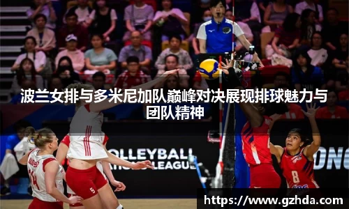 波兰女排与多米尼加队巅峰对决展现排球魅力与团队精神